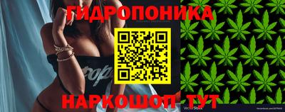 трава Малгобек