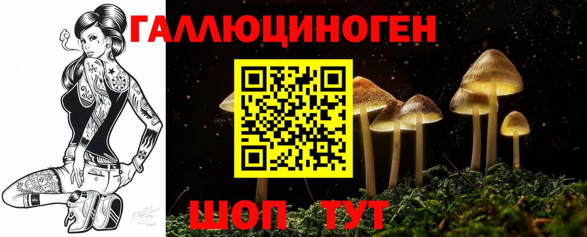 Псилоцибиновые грибы GOLDEN TEACHER Донской