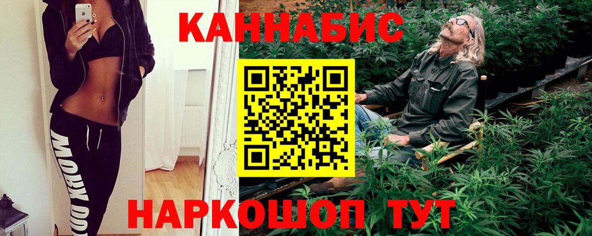 Конопля сатива  МАРИХУАНА планчик  Донской  Канабис конопля  Вход с VPN 